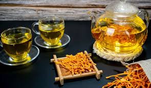 Công dụng của Đông trùng hạ thảo